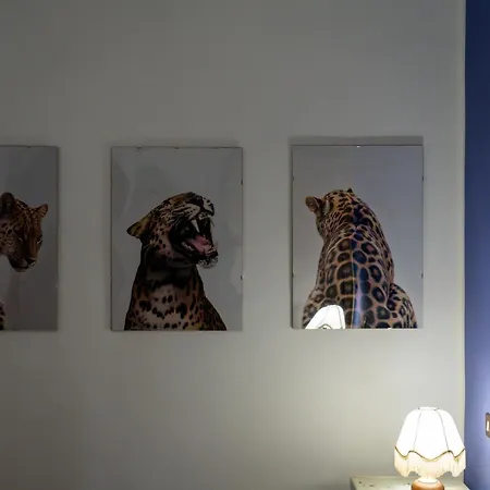 Casale Sforna - Con 2 Da Letto E Piscina - Italywego Appartement *